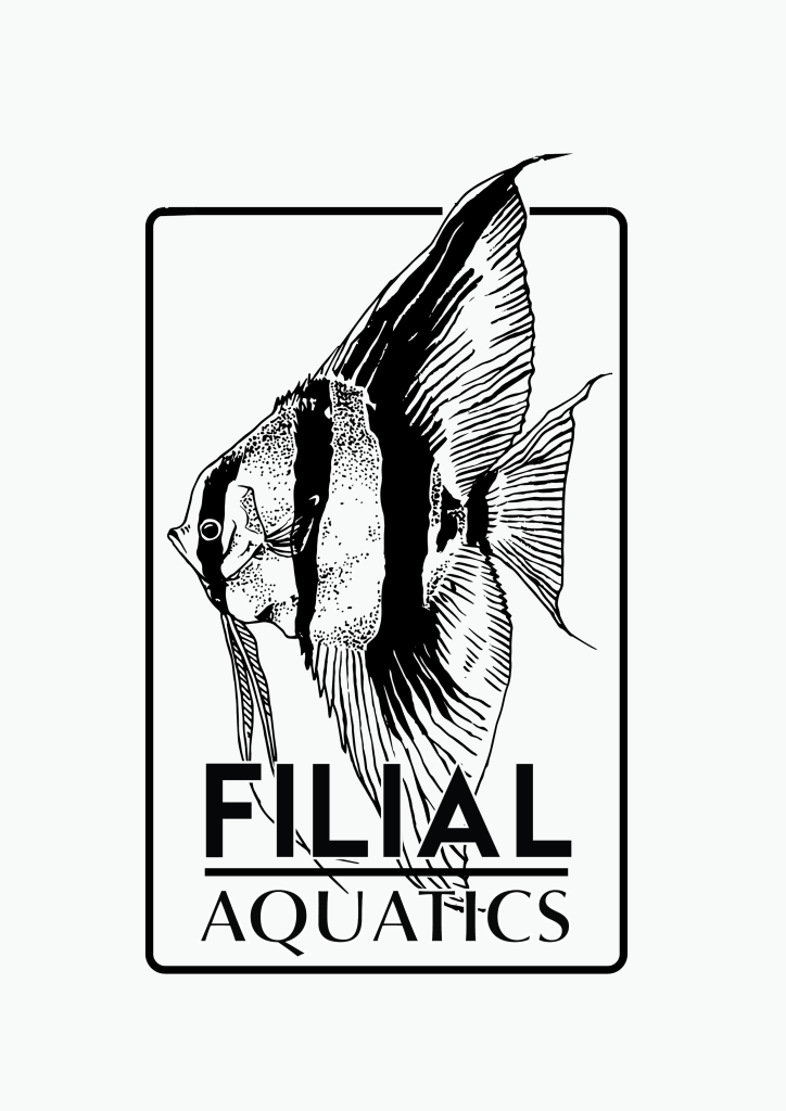 FIlial aquatics logo